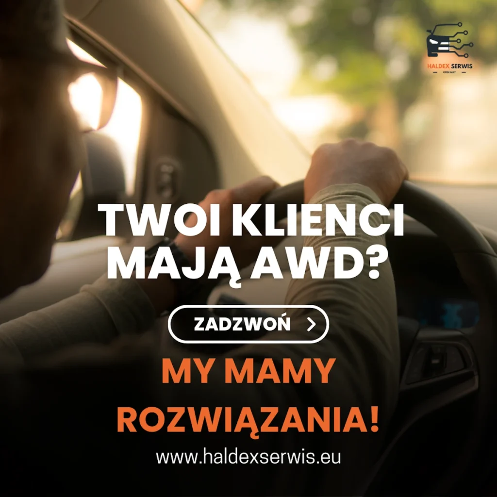 Naprawa sterowników Haldex dla warsztatów